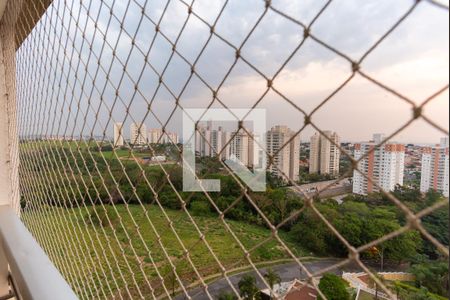 Sacada da Sala de apartamento à venda com 3 quartos, 76m² em Vila Marieta, Campinas