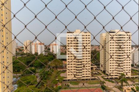 Vista da Sala de apartamento à venda com 3 quartos, 75m² em Vila Marieta, Campinas