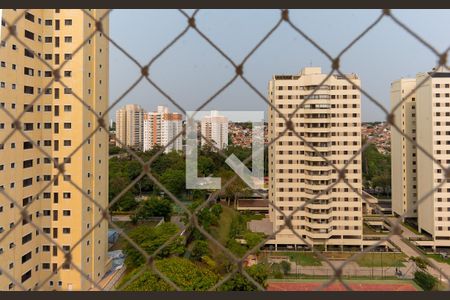 Vista da Suíte de apartamento à venda com 3 quartos, 75m² em Vila Marieta, Campinas