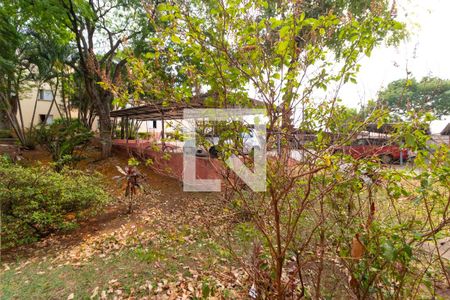 Vista da Sala de apartamento à venda com 3 quartos, 70m² em Jardim García, Campinas