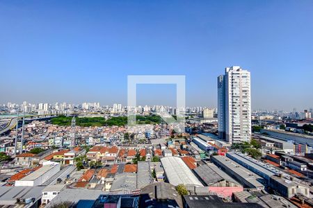 Vista da Varanda de apartamento para alugar com 2 quartos, 47m² em Quinta da Paineira, São Paulo