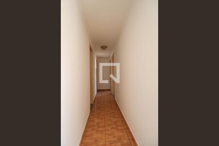 Corredor de apartamento para alugar com 3 quartos, 75m² em Bonfim, Campinas