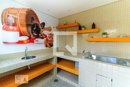 Apartamento para alugar com 53m², 2 quartos e 1 vaga Apartamento para alugar com 53m², 2 quartos e 1 vagaEspaço pet