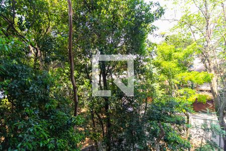 Vista da Sacada de apartamento para alugar com 1 quarto, 28m² em Vila Ema, São Paulo