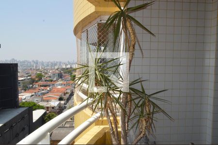 Varanda de apartamento para alugar com 2 quartos, 65m² em Cambuci, São Paulo