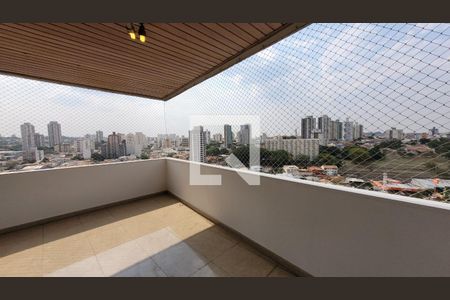 Varanda da Sala de apartamento para alugar com 5 quartos, 230m² em Cambuí, Campinas