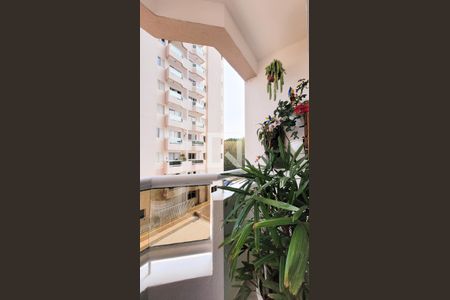 Varanda da Sala de apartamento para alugar com 3 quartos, 75m² em Chácara Primavera, Campinas