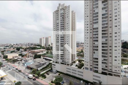 Apartamento à venda com 3 quartos, 77m² em Imirim, São Paulo