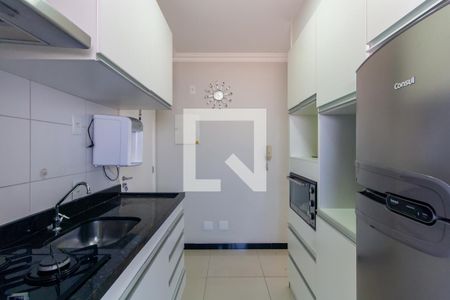 Cozinha de apartamento para alugar com 2 quartos, 55m² em Quinta da Paineira, São Paulo