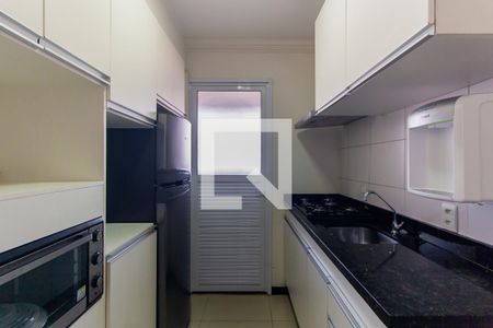 Cozinha de apartamento para alugar com 2 quartos, 55m² em Quinta da Paineira, São Paulo