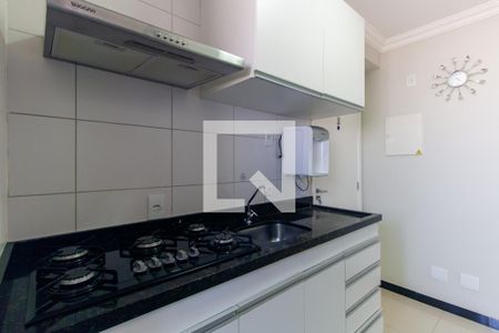 Cozinha de apartamento para alugar com 2 quartos, 55m² em Quinta da Paineira, São Paulo