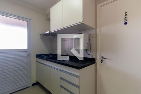 Cozinha de apartamento para alugar com 2 quartos, 55m² em Quinta da Paineira, São Paulo