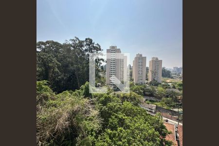 Vista da Sala/Cozinha de apartamento para alugar com 2 quartos, 32m² em Jardim Celeste, São Paulo