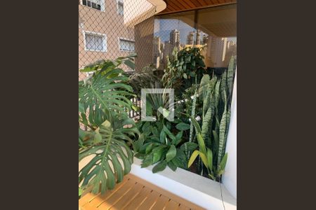 Apartamento à venda com 267m², 4 quartos e 4 vagas