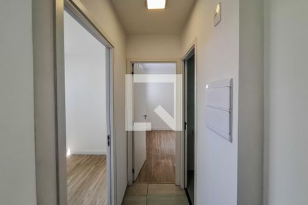 corredor de apartamento para alugar com 2 quartos, 35m² em Cambuci, São Paulo