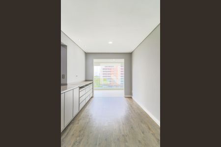 Sala de apartamento para alugar com 1 quarto, 47m² em Jardim Santo Amaro, São Paulo