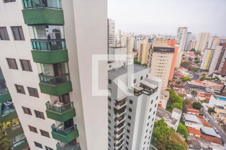 Vista de apartamento para alugar com 1 quarto, 30m² em Chácara Inglesa, São Paulo