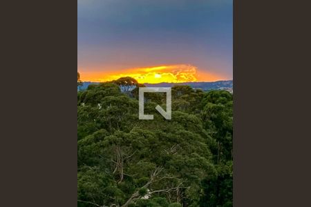 Vista da Sala de apartamento para alugar com 2 quartos, 50m² em Jardim Helena, Cotia