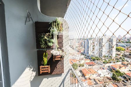 Sacada de apartamento para alugar com 2 quartos, 63m² em Sacomã, São Paulo