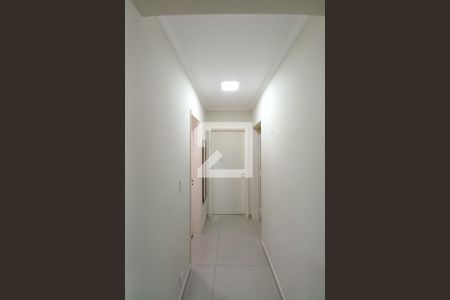 Corredor  de apartamento para alugar com 2 quartos, 48m² em Jardim Amoreiras, Campinas