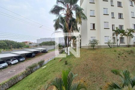 Vista da Sala  de apartamento para alugar com 2 quartos, 48m² em Jardim Amoreiras, Campinas