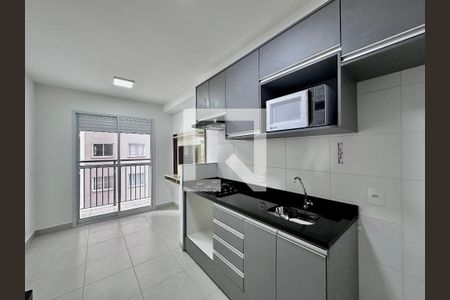 Cozinha de apartamento para alugar com 1 quarto, 30m² em Jardim Caravelas, São Paulo