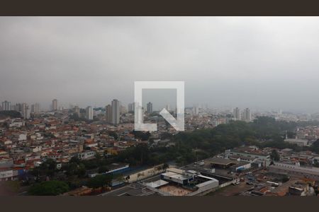 Vista do Quarto 1 de apartamento à venda com 2 quartos, 34m² em Vila Pierina, São Paulo