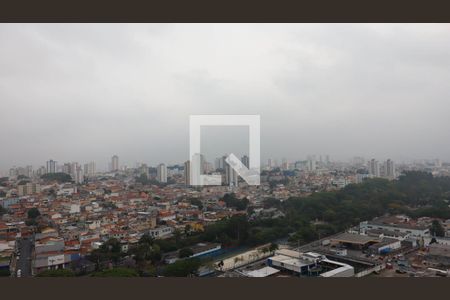 Vista da Sala de apartamento à venda com 2 quartos, 34m² em Vila Pierina, São Paulo