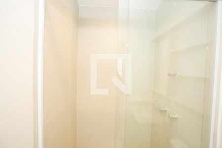 Banheiro de apartamento para alugar com 2 quartos, 54m² em Cristo Redentor, Porto Alegre