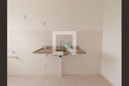 Cozinha de apartamento para alugar com 2 quartos, 50m² em Residencial Monterrey, Ribeirão Preto