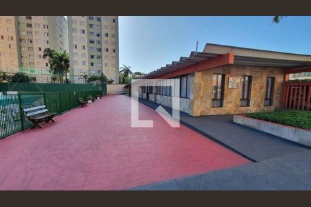 Apartamento à venda com 3 quartos, 75m² em Demarchi, São Bernardo do Campo