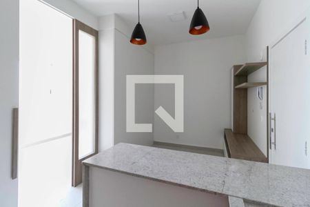 Sala/Cozinha de apartamento para alugar com 1 quarto, 34m² em Ouro Preto, Belo Horizonte