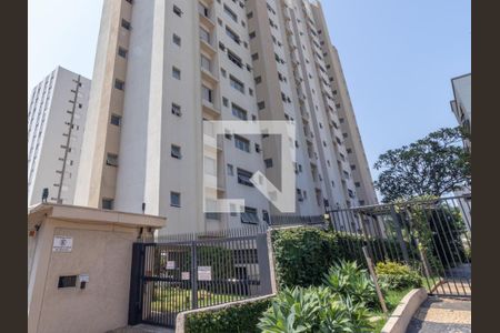 Apartamento à venda com 3 quartos, 135m² em Nova Campinas, Campinas