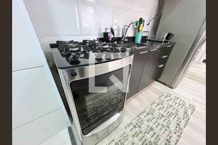 Cozinha de apartamento para alugar com 2 quartos, 35m² em Várzea da Barra Funda, São Paulo