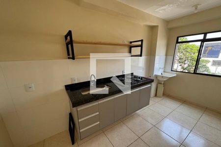 Cozinha - Lavanderia de apartamento para alugar com 2 quartos, 44m² em Recanto das Palmeiras, Ribeirão Preto