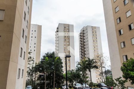 Vista da Sala de apartamento para alugar com 2 quartos, 51m² em Vila Sao Joao, Barueri