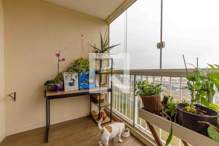 Varanda Sala de apartamento para alugar com 3 quartos, 80m² em Recreio dos Bandeirantes, Rio de Janeiro