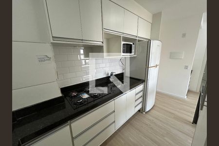 Cozinha de apartamento para alugar com 2 quartos, 38m² em Várzea da Barra Funda, São Paulo