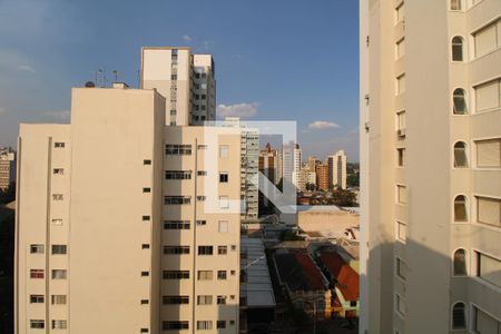 Vista da Sala de apartamento para alugar com 2 quartos, 75m² em Centro, Campinas