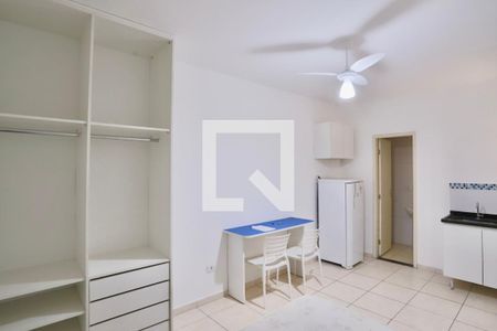 Sala/Quarto/Cozinha de apartamento para alugar com 1 quarto, 22m² em Vila Prudente, São Paulo