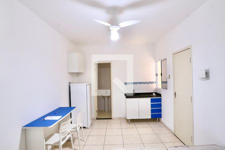 Sala/Quarto/Cozinha de apartamento para alugar com 1 quarto, 22m² em Vila Prudente, São Paulo