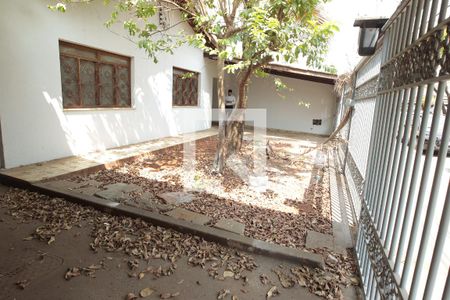 Quintal de casa para alugar com 6 quartos, 270m² em Setor Bueno, Goiânia