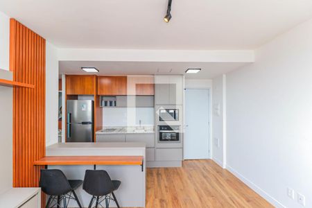 Sala de apartamento para alugar com 1 quarto, 38m² em Vila Sao Francisco (zona Sul), São Paulo