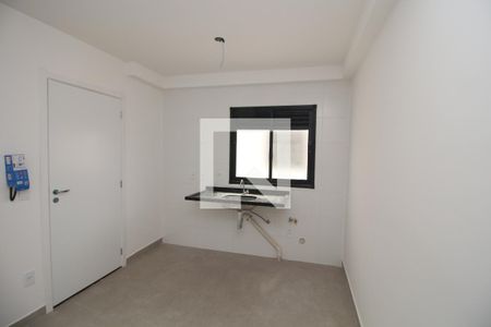 Sala/Cozinha de apartamento para alugar com 1 quarto, 30m² em Cidade Mãe do Céu, São Paulo