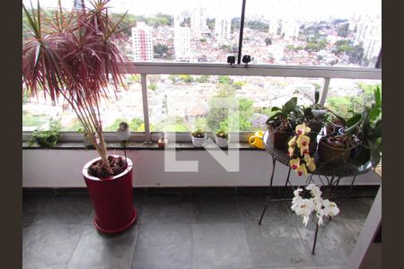 Varanda da Sala de apartamento à venda com 4 quartos, 155m² em Jardim Londrina, São Paulo