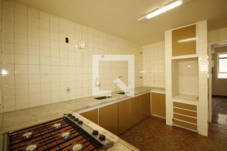 Cozinha de apartamento para alugar com 3 quartos, 116m² em Sion, Belo Horizonte