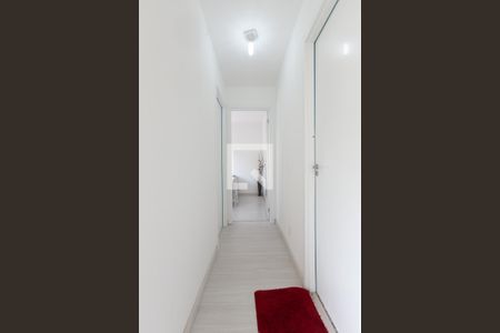 Corredor  de apartamento para alugar com 2 quartos, 41m² em Jardim Helian, São Paulo