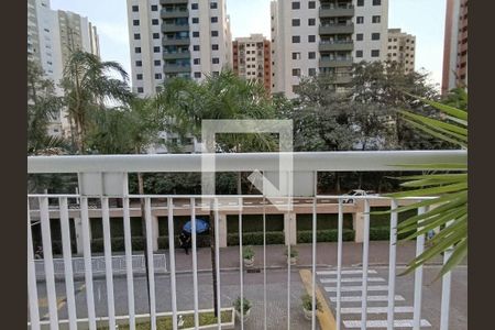 Apartamento à venda com 3 quartos, 60m² em Jardim das Vertentes, São Paulo