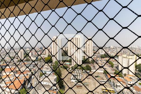 Vista da Varanda da Sala de apartamento para alugar com 3 quartos, 63m² em Vila Vermelha, São Paulo