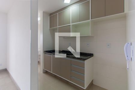 Cozinha de apartamento para alugar com 1 quarto, 45m² em Jardim Avelino, São Paulo